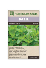 Basil - Helios Lemon