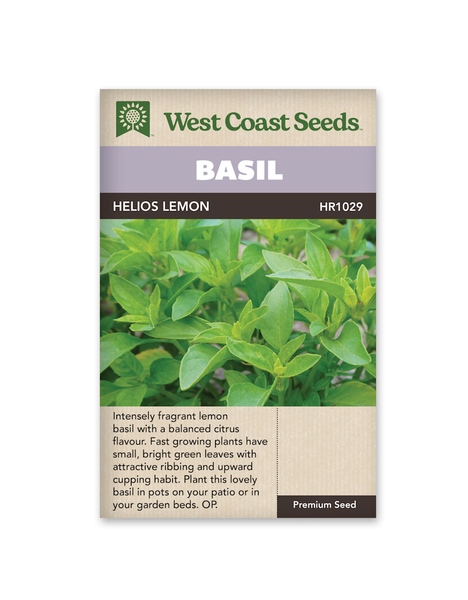 Basil - Helios Lemon
