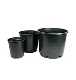Nursery Pot Black 20 Gal
