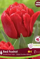 Tulip - Per Bulb - Red Foxtrot