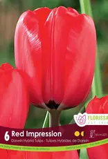 Tulip - Per Bulb - Red Impression