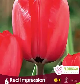 Tulip - Per Bulb - Red Impression