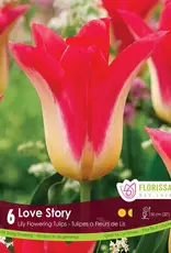 Tulip - Per Bulb - Love Story