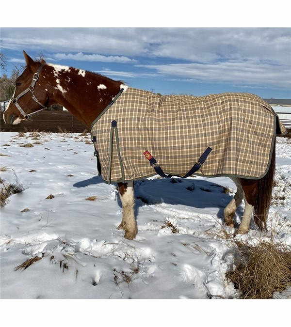 Baker 5/A Baker Heavyweight Turnout Blanket