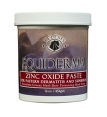 Equiderma Zink Oxide Paste 16 oz