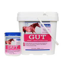 Gut Powder 2lbs