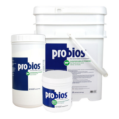 ProBios Powder 240g