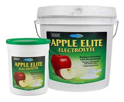 Apple Elite Electrolyte 5lb