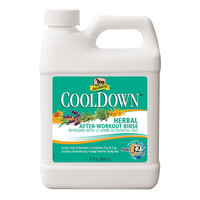 Absorbine Cooldown  Herbal After-Workout Rinse, 32 oz