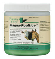 RJ Matthews Magna Poucltice 20 oz