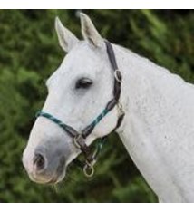 Kinkcade Leather Rope Halter