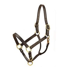 Tory Traditional Deluxe Leather Halter