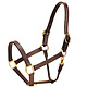 Tory Leather 1" Halter