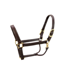 Walsh British Halter