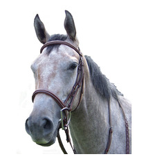 Pro-trainer Proam Fancy Raised Padded Bridle