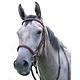 Pro-trainer Proam Fancy Raised pad bridle