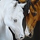 AWST Canvas best Friends