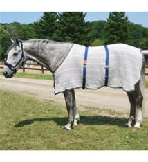 Baker Baker Anti Sweat