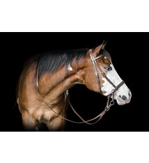 Bitless Bridle Beta Headstall