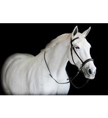 PHS PHS Full black padded english