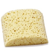 Sponge 8" x 3"