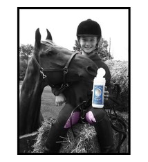 Horse Amour Bit Wipes