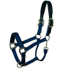 Padded Breakaway Halter