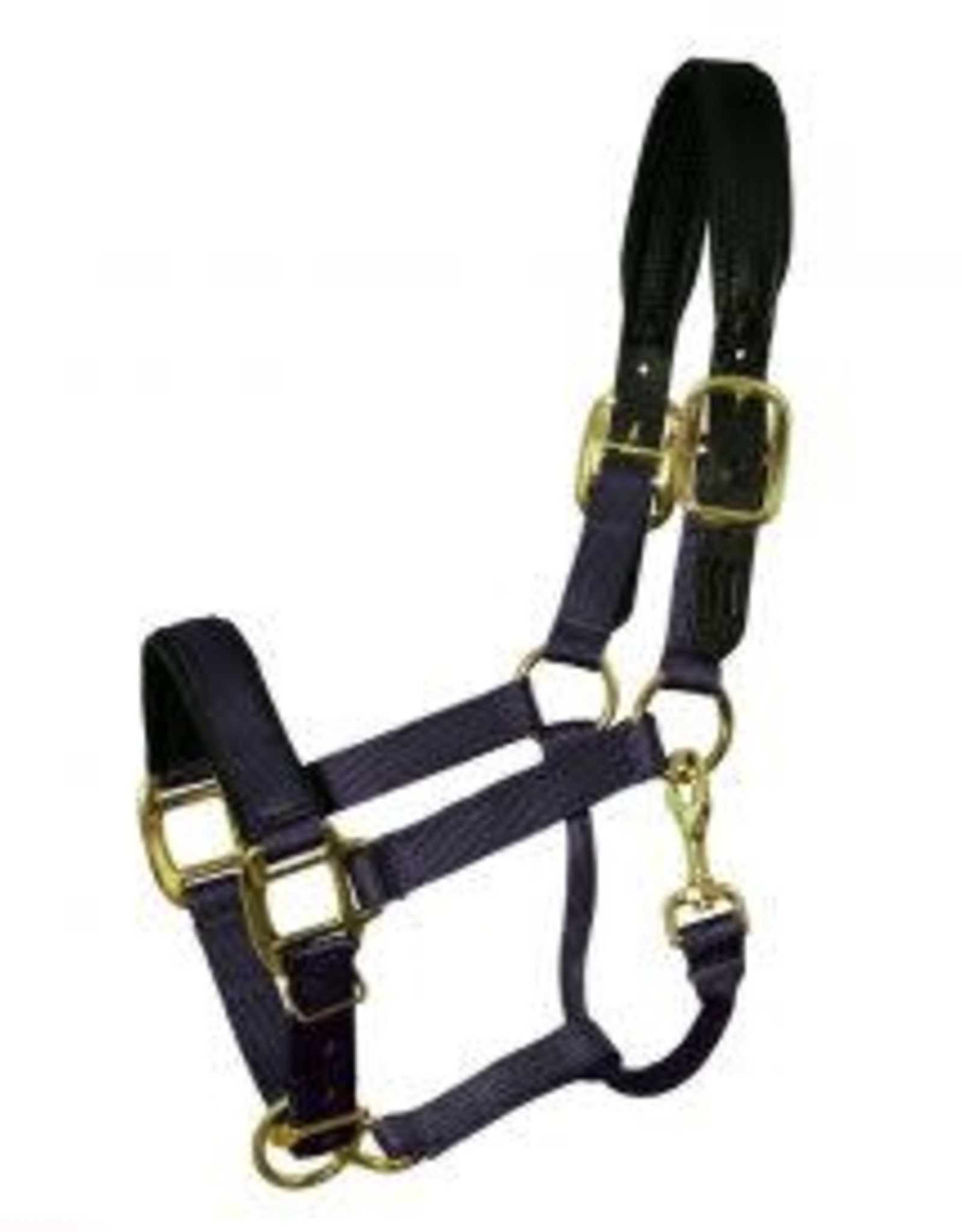 Padded Breakaway Halter Everything Equine