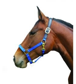 padded breakaway halter