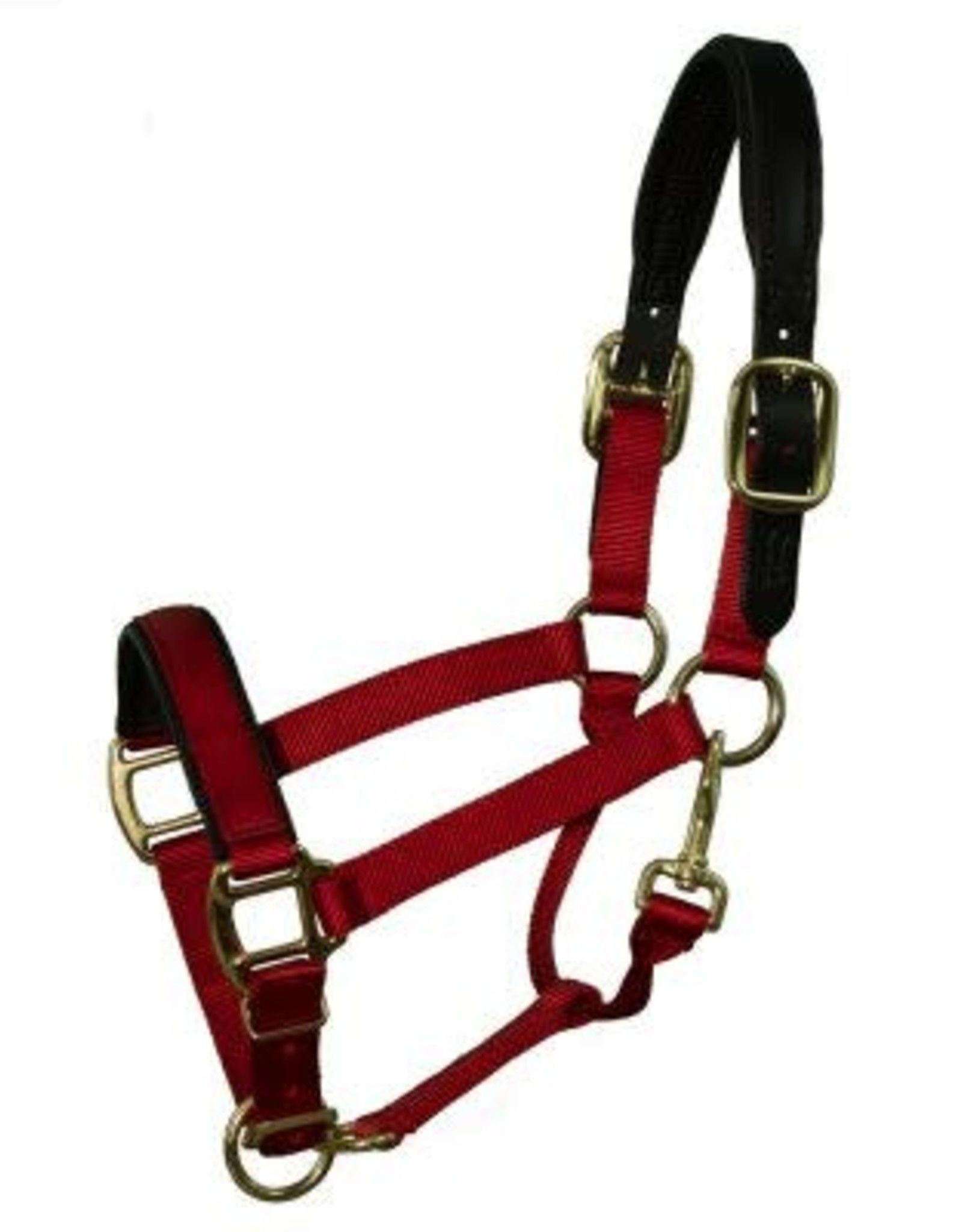 Padded Breakaway Halter Everything Equine