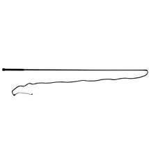 Lunge Whip