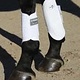 Prof. Choice Pro Perfomance Hybrid Splint Boots