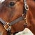 Berlin Berlin Leather Track Halter
