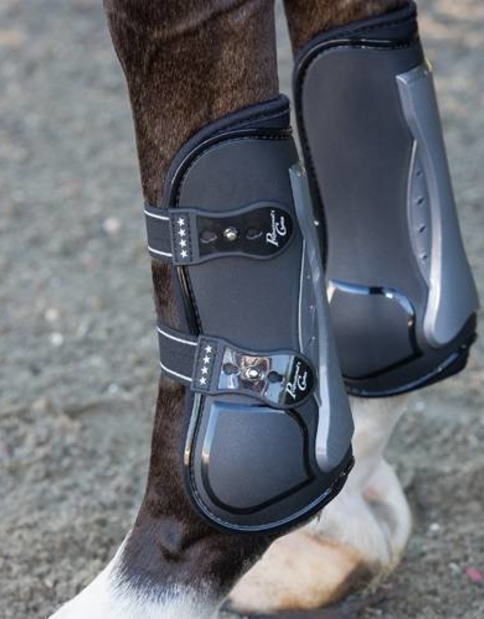 The Secret To Healthy Dog Front Legs: Tendon Care Revealed - 83df3uy