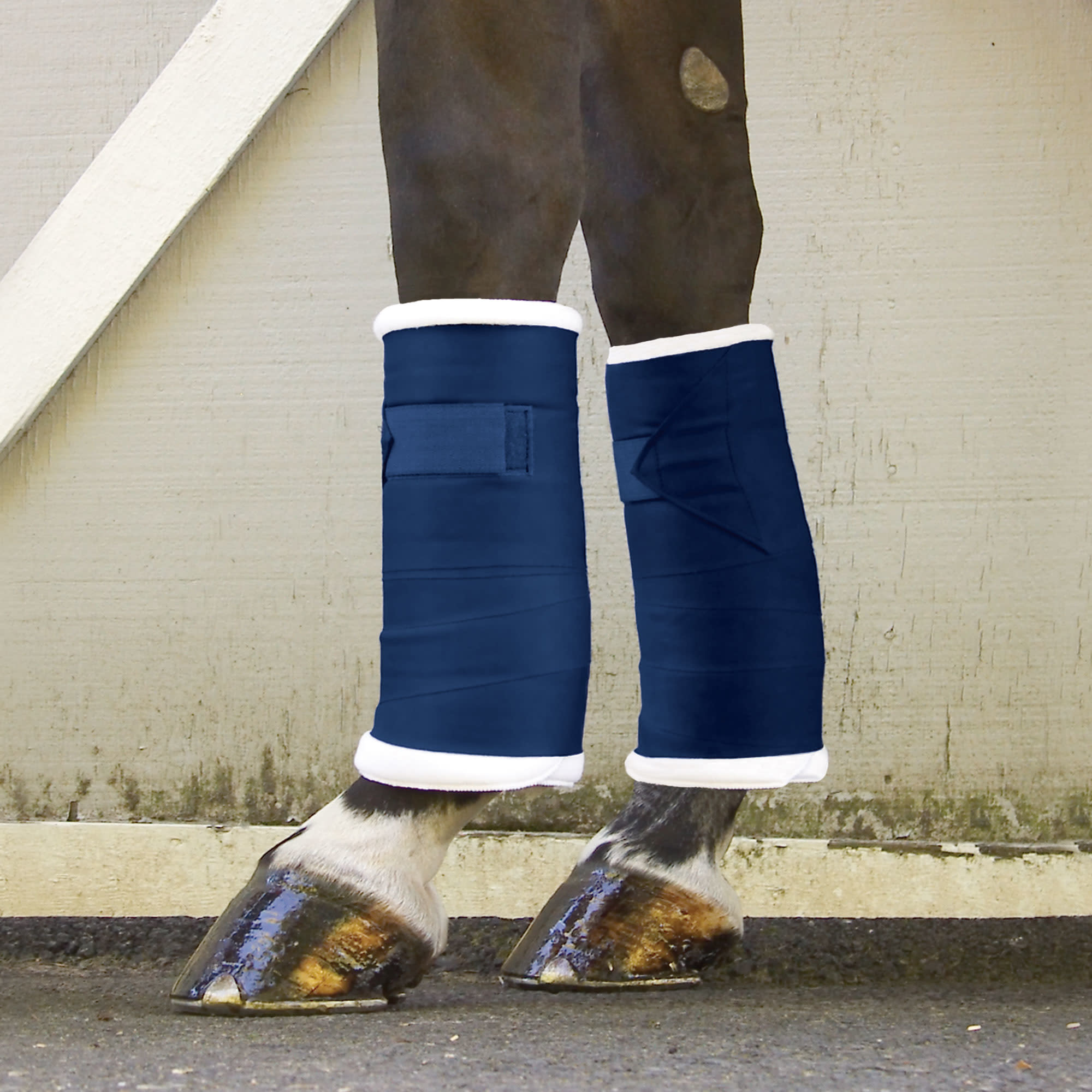 Toklat Standing Wraps