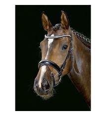 HKM Emilia Bridle, Full