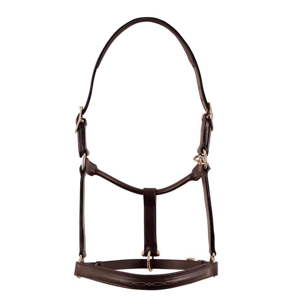 Fairhaven Fancy Raised Padded Halter