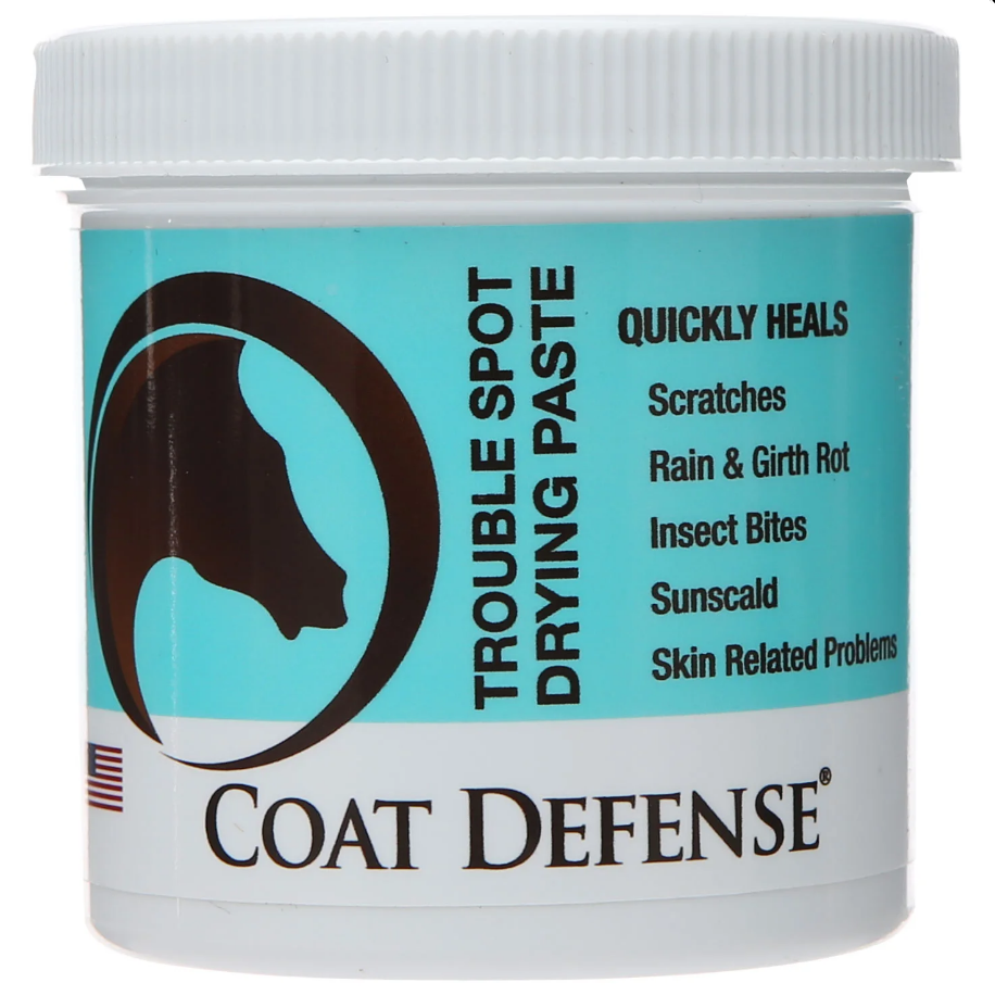 Coat Defense Coat Defense Trouble Spot Drying Paste, 24 oz