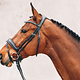 Schockemohle Schockemohle Stanford Anatomical Bridle