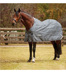 Majestic Ally Pack of 2 Adjustable Length Horse Blanket Sheet Replacem –  Majestic Ally Products