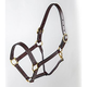 Tory Tory Traditional Havana ProKentucky Horse Halter