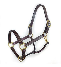Tory Tory 1" Traditional Deluxe Halter - Havana