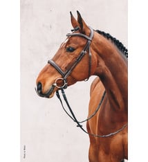 Schockemohle Schockemohle Montreal Select Anatomic Hunter Bridle  oak/cream/silver, Full