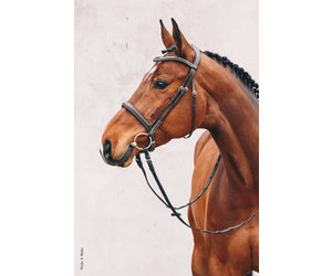 Bride De Dressage Delta Marron Schockemohle - Taille XFull Pour Grand Cheval - Cuir - Occasion