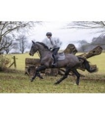 LeMieux LeMieux Monsieur Mens Breeches, Black