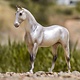 Breyer Breyer Trakehner 960