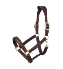 LeMieux Anatomic Leather headcollar