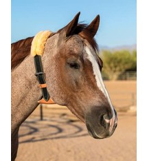 Dare Cribbing Collar