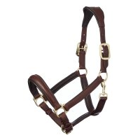 LeMieux Lemieux Stitched Leather Headcollar