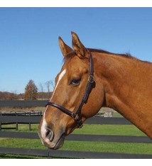 Tory Tory Grooming Halter 193 H